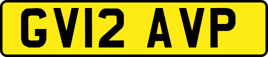 GV12AVP