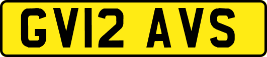GV12AVS