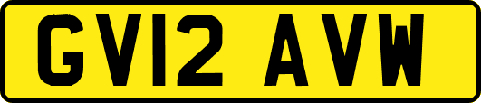 GV12AVW