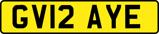 GV12AYE