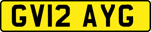 GV12AYG