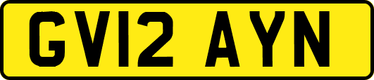 GV12AYN