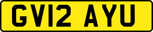 GV12AYU