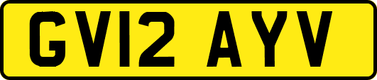 GV12AYV