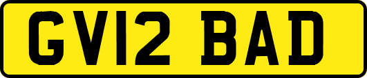 GV12BAD