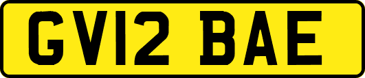 GV12BAE