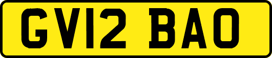 GV12BAO