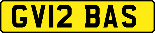 GV12BAS