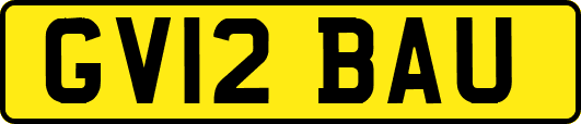 GV12BAU