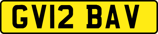 GV12BAV