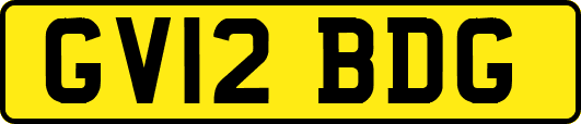 GV12BDG