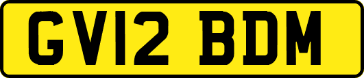 GV12BDM