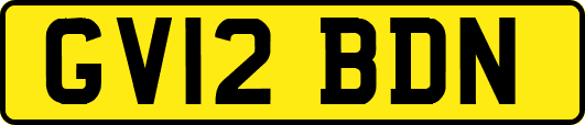GV12BDN