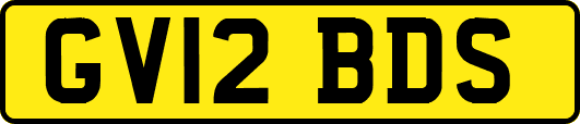 GV12BDS