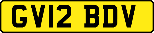 GV12BDV