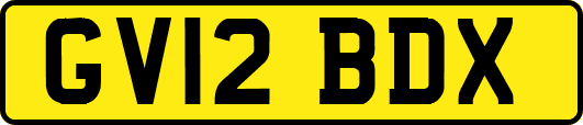 GV12BDX