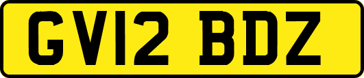 GV12BDZ