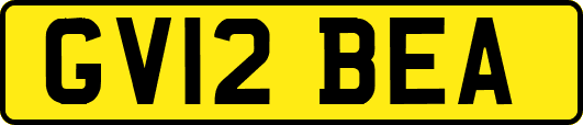 GV12BEA