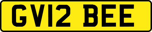 GV12BEE