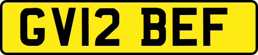 GV12BEF