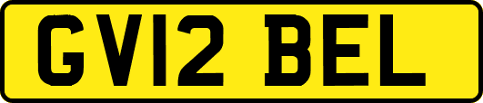 GV12BEL