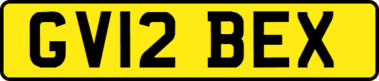 GV12BEX