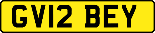GV12BEY