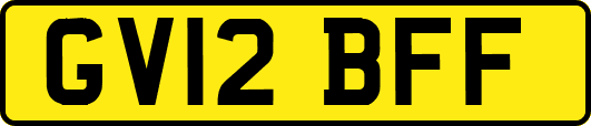 GV12BFF