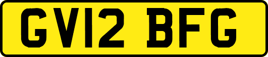 GV12BFG