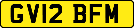 GV12BFM