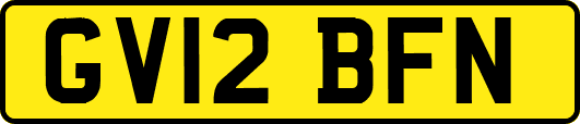 GV12BFN