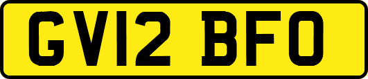 GV12BFO