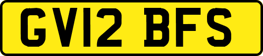 GV12BFS