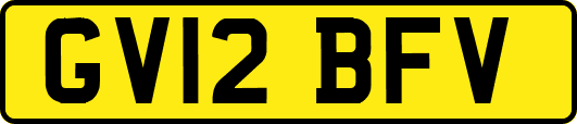 GV12BFV