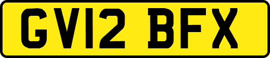 GV12BFX