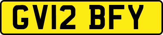 GV12BFY