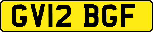 GV12BGF