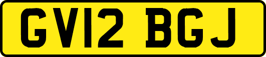 GV12BGJ