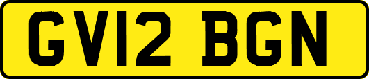GV12BGN