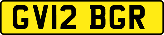 GV12BGR