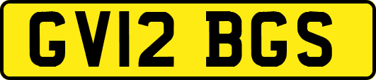 GV12BGS
