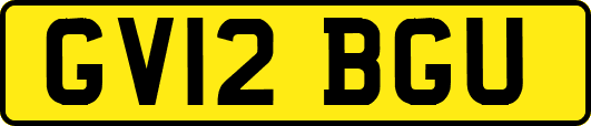 GV12BGU