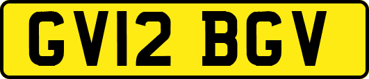 GV12BGV