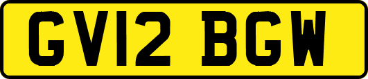 GV12BGW