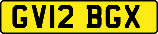 GV12BGX