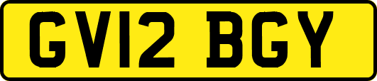 GV12BGY