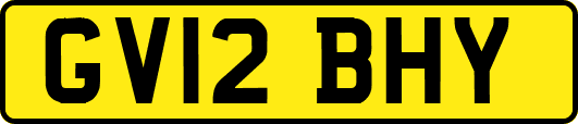 GV12BHY