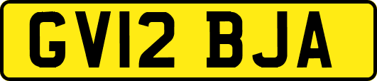 GV12BJA