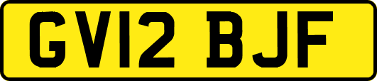 GV12BJF