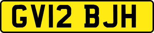 GV12BJH